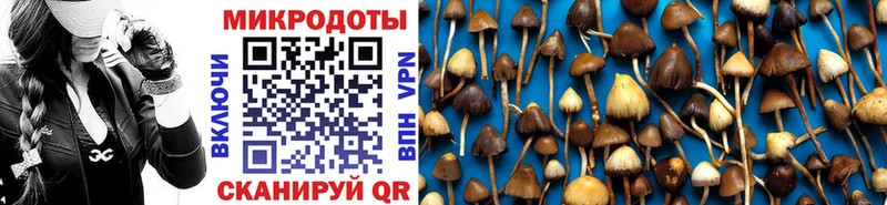 Псилоцибиновые грибы Magic Shrooms Нововоронеж