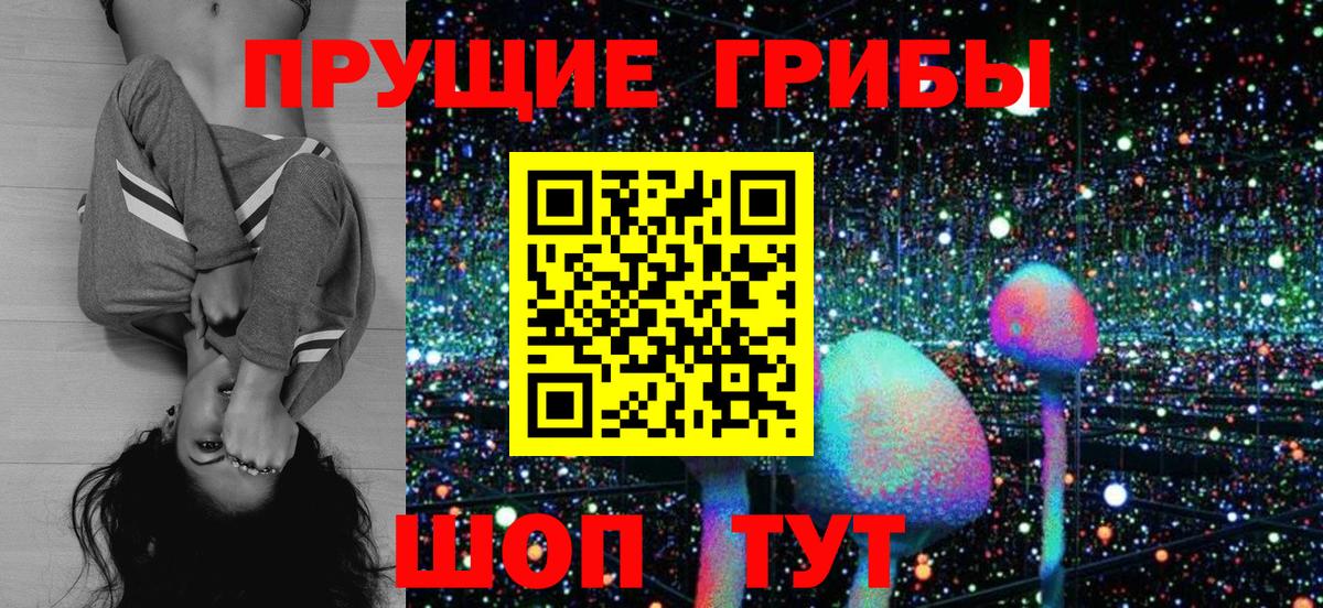 Псилоцибиновые грибы Psilocybe Нововоронеж