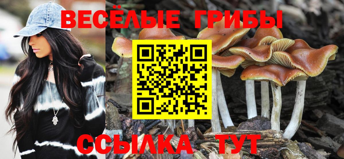 Нововоронеж  Галлюциногенные грибы мицелий  Вход с VPN 